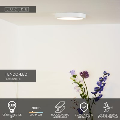 Lucide TENDO-LED - Plafonnière - Ø 22 cm - LED - 1x18W 3000K - Wit